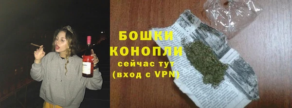 PSILOCYBIN Балахна