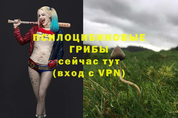 PSILOCYBIN Балахна