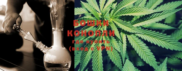 PSILOCYBIN Балахна