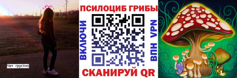Купить закладки  Крымск  Псилоцибиновые грибы GOLDEN TEACHER 